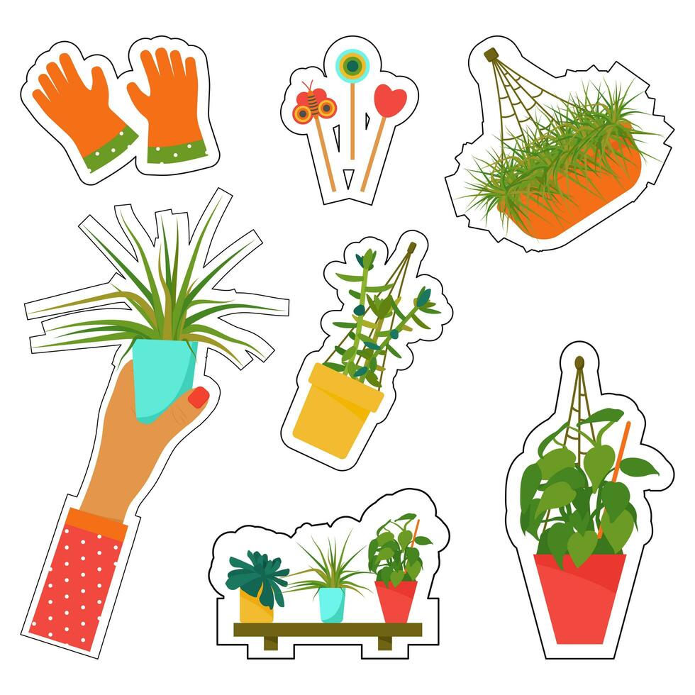 Stickers of house plants and care tools. Interior Scandinavian design. Design element. photo