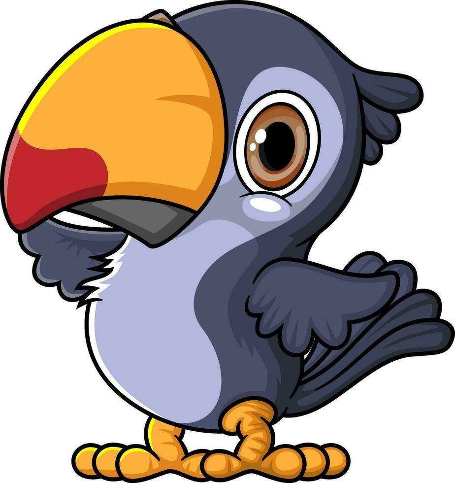 Cartoon funny little toucan posing vector