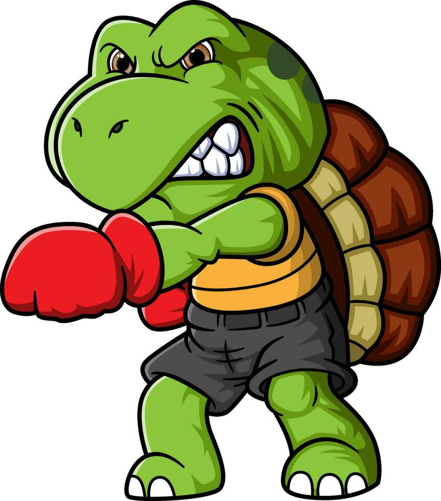 Cartoon little turtle training boxing vector