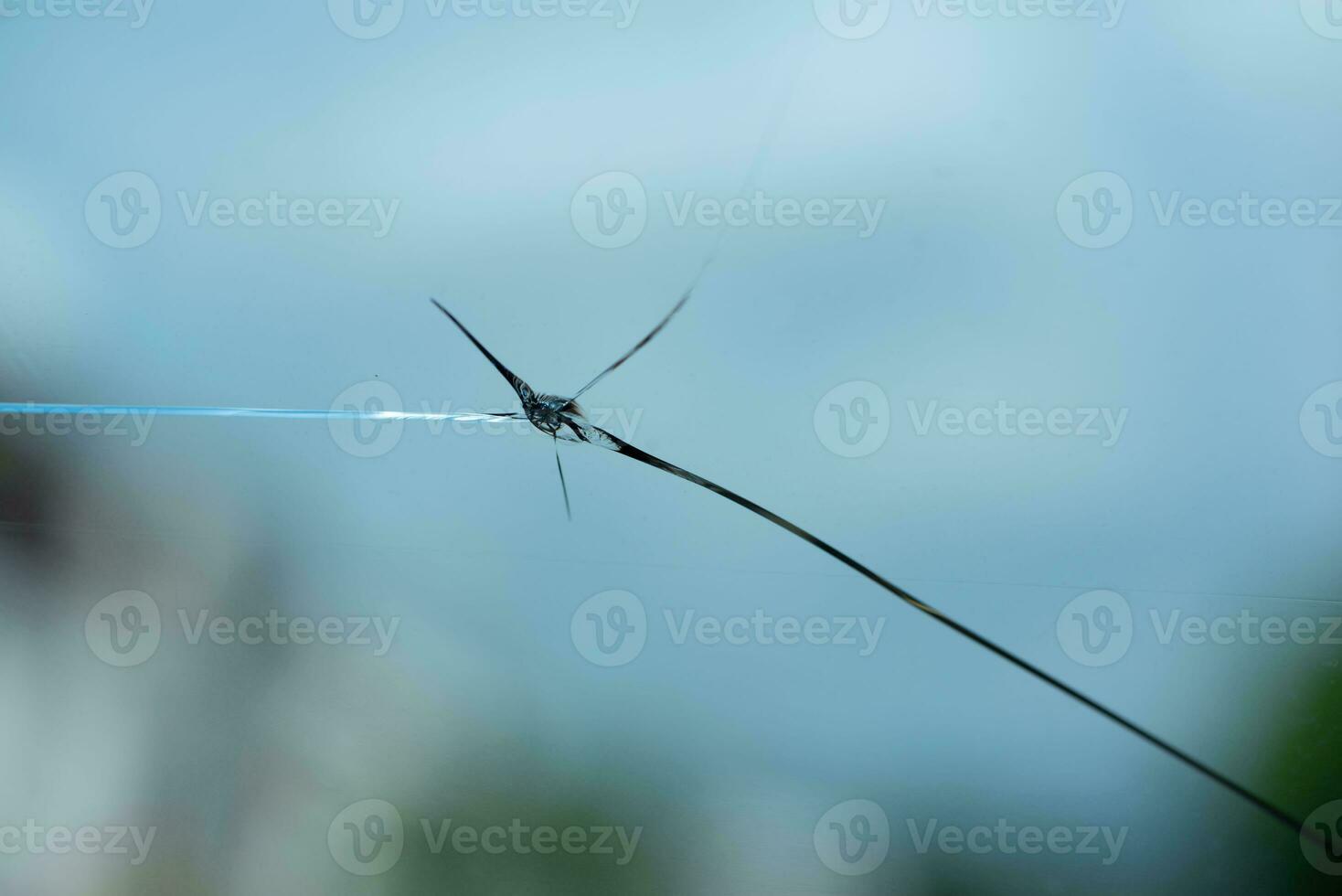 Cracked windshield from the stone thrown. photo
