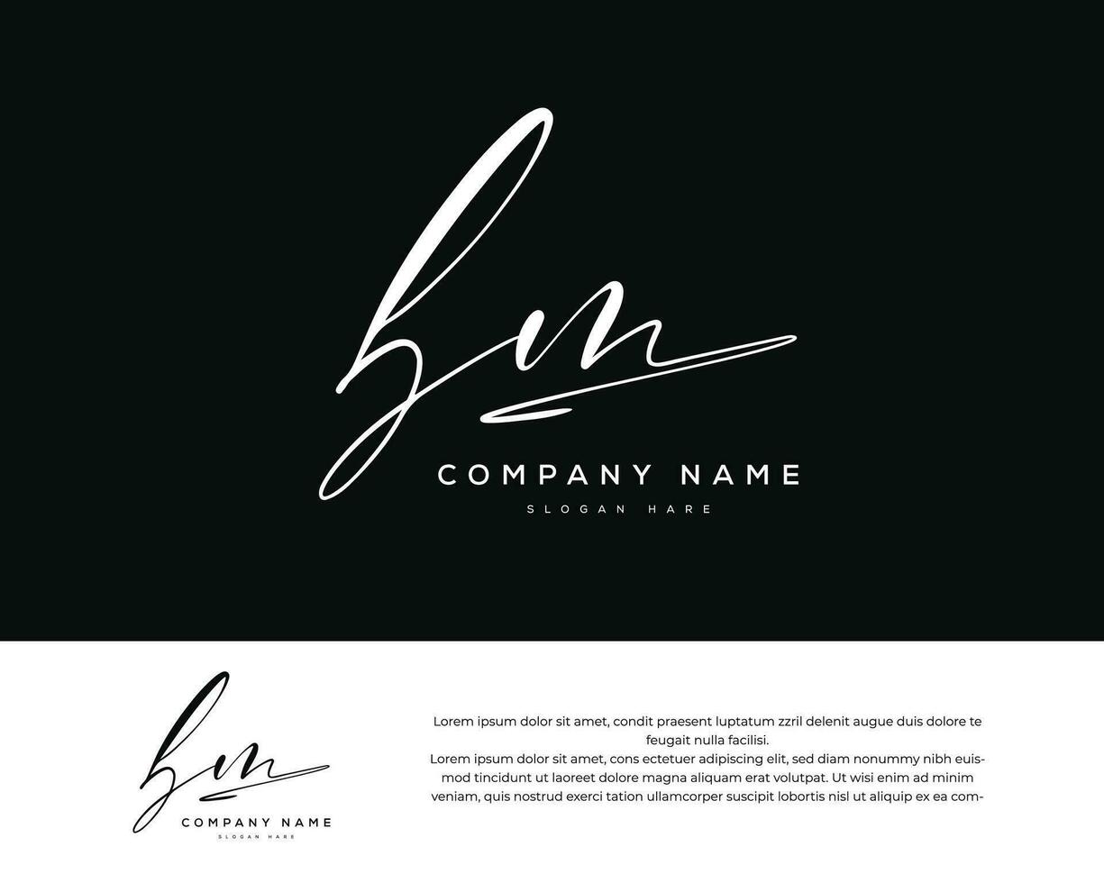 bm b m initial letter handwriting and signature logo vector