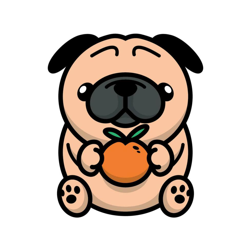 CUTE PUG IS HOLDING AN ORANGE vector