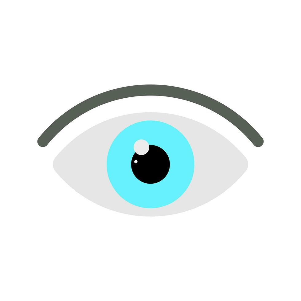 Flat eye icon sign. vector illustration isolated on white background