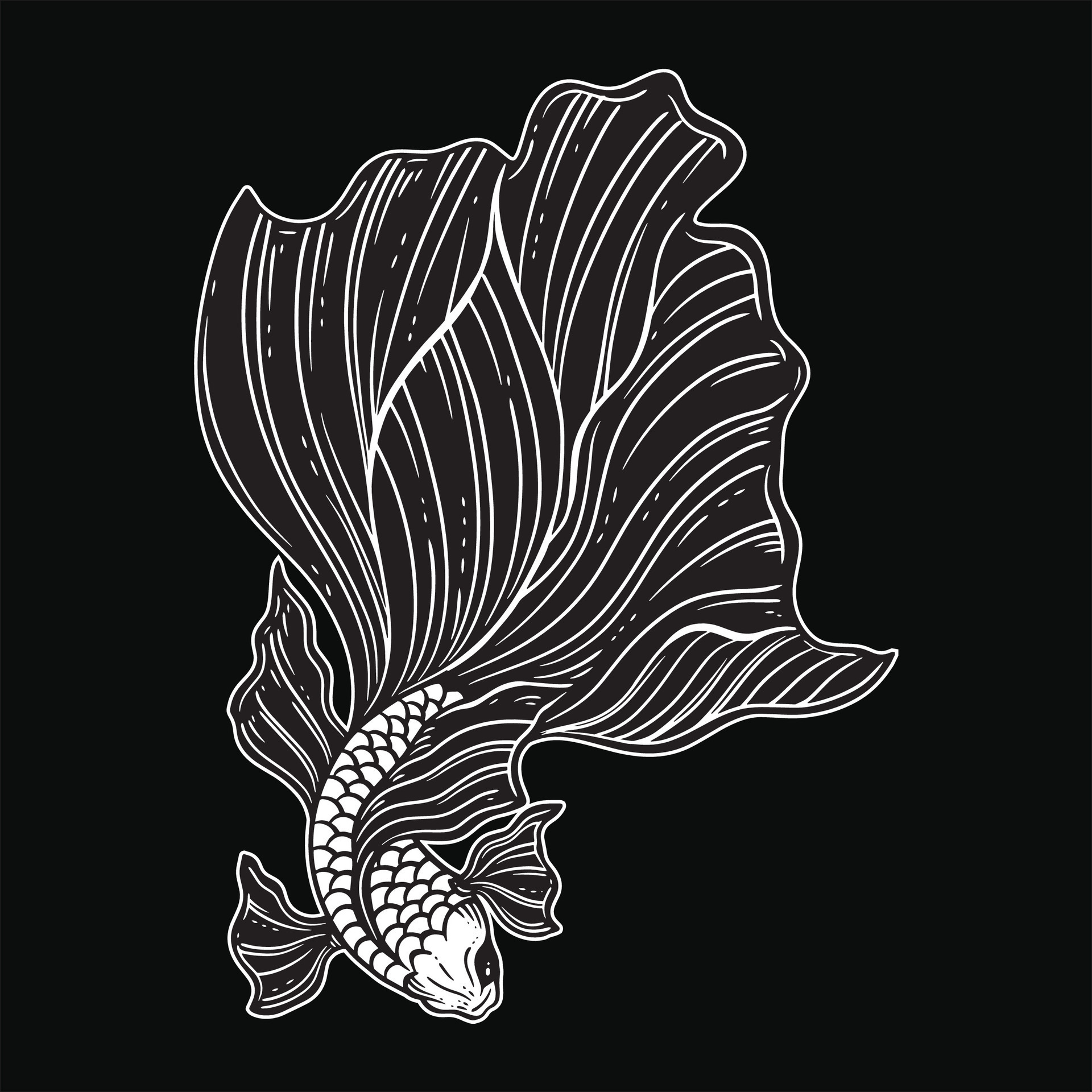 Hand Drawn Betta Fish Aquatic Black White Vintage Dark Art for