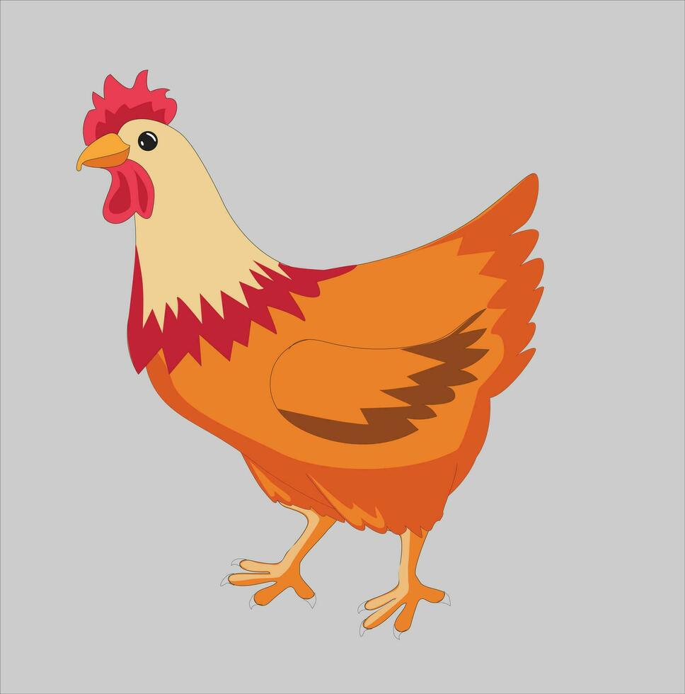 chicken vector with high resolution