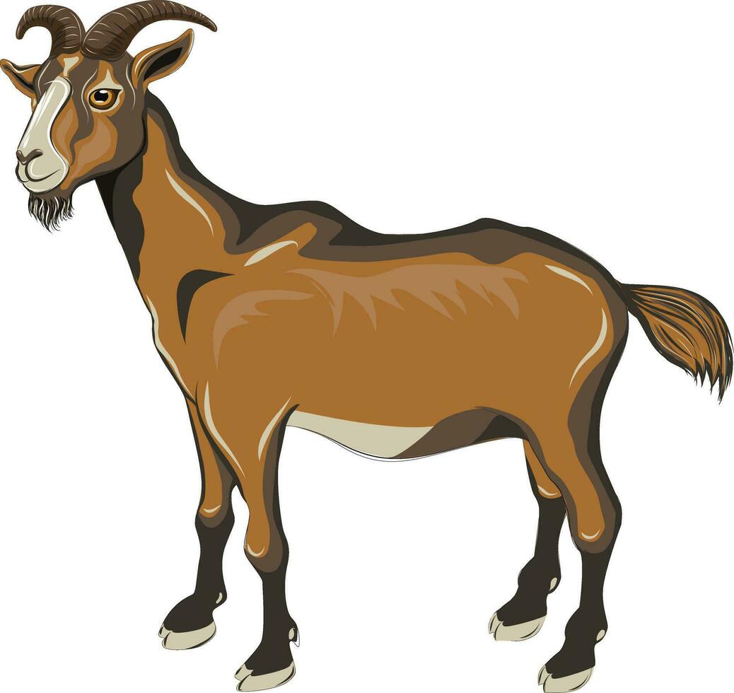 goat on brown vector