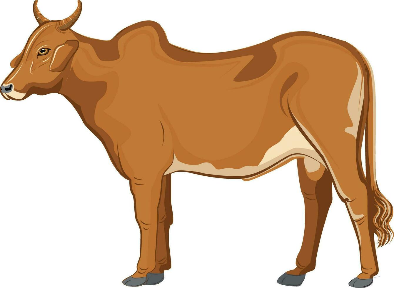 Cow vector illustration with  brown  color