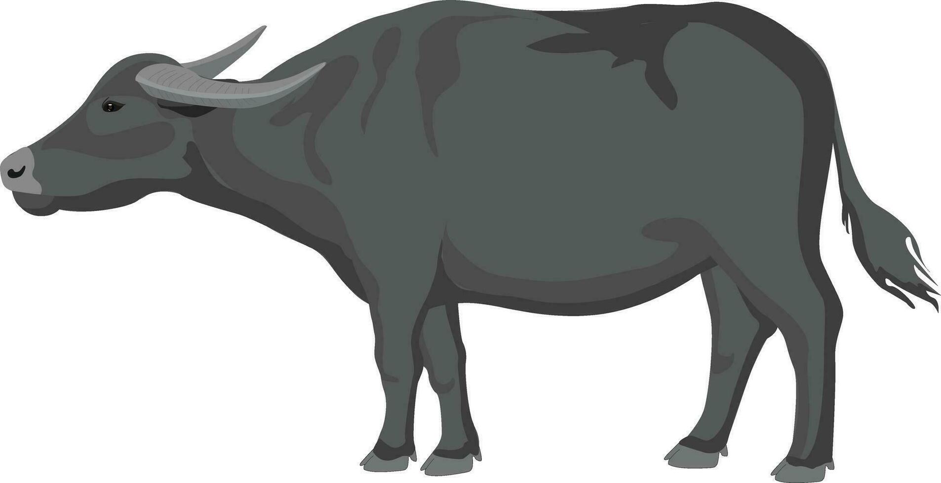 buffalo vector  with high resolution