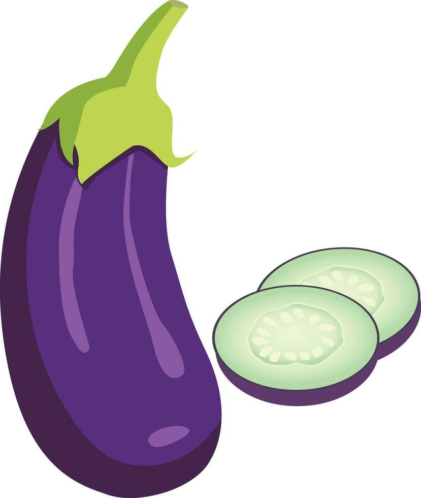 egg plant with  purple color vector