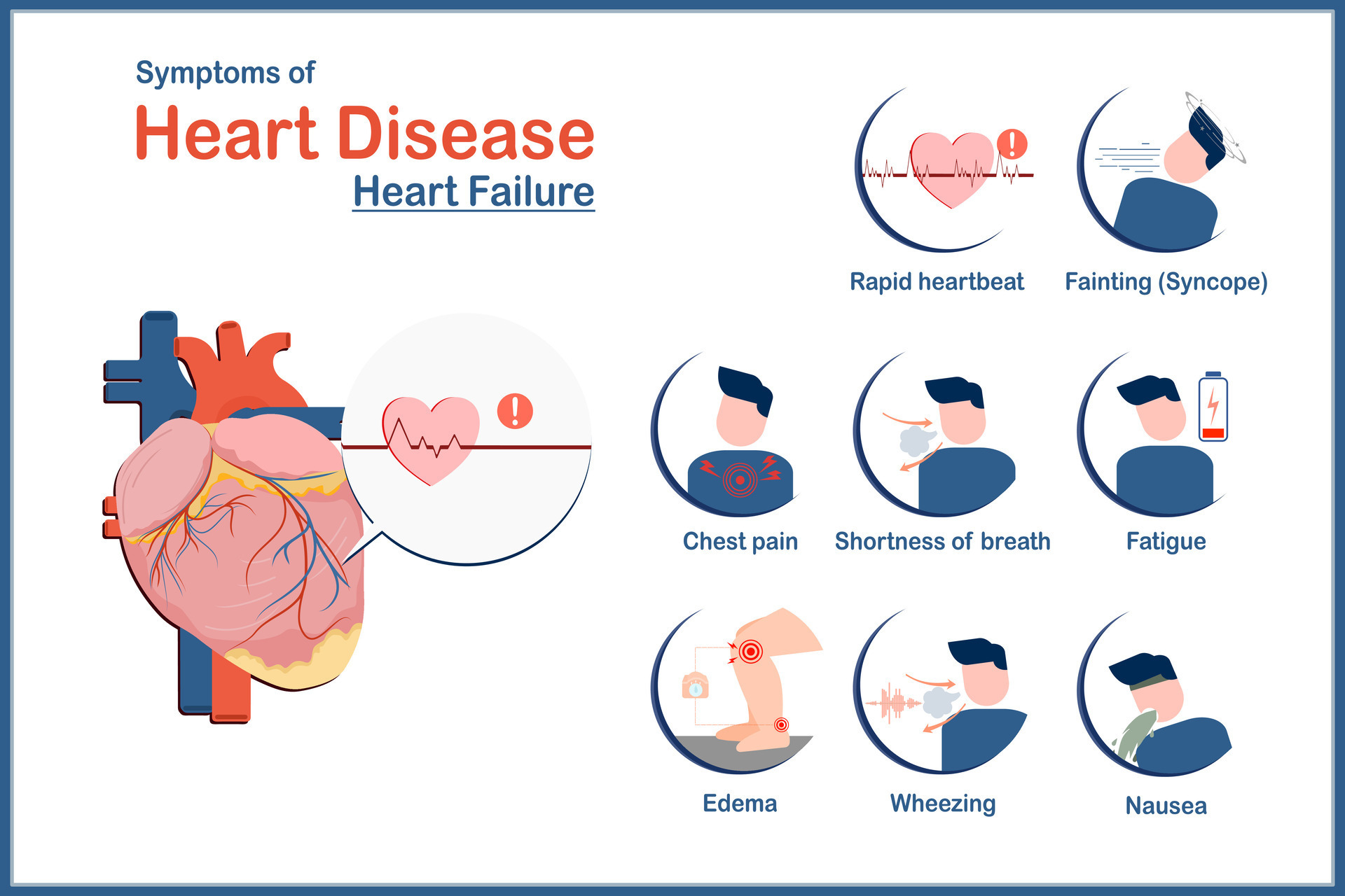 medical-illustration-concept-symptoms-of-heart-disease-caused-by-heart