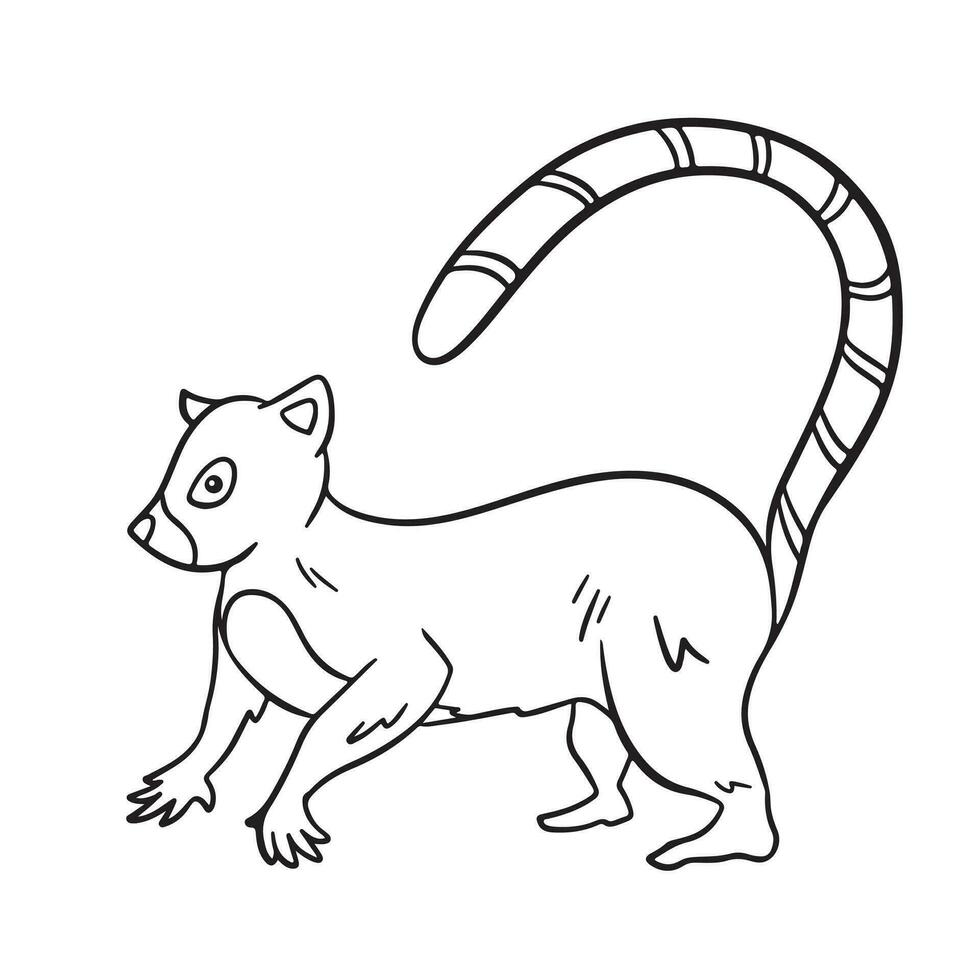 Lemur wild animals vector illustration outlined isolated on square white background. Simple flat side view cartoon drawing.