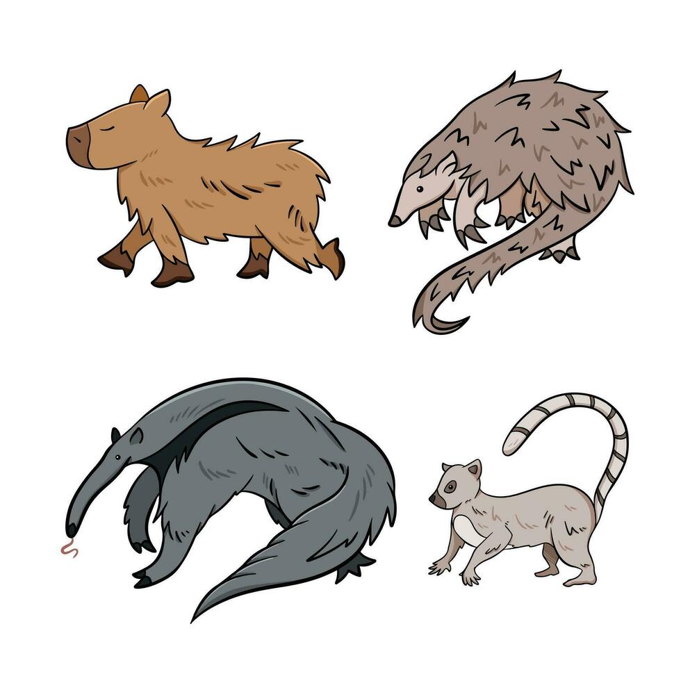 Wild animals vector illustration colored outlined set collection from capybara, pangolin, lemurs, and anteater isolated on square white background. Simple flat cartoon wildlife art styled drawing.