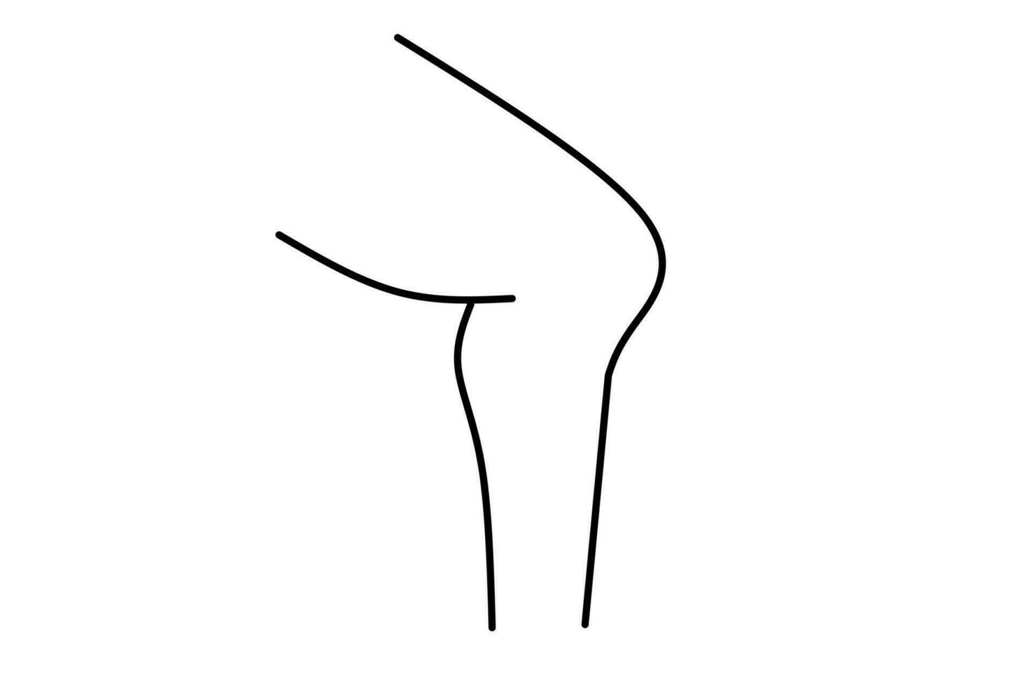 knee line drawing isolated on white background. Vector illustration.