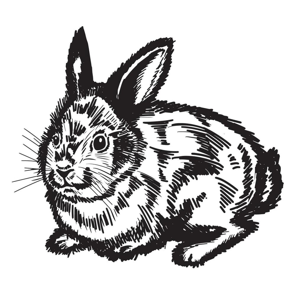 Hand drawn portrait of a rabbit hare. Easter Bunny, sketch. Vector illustration.Easter and New Year.
