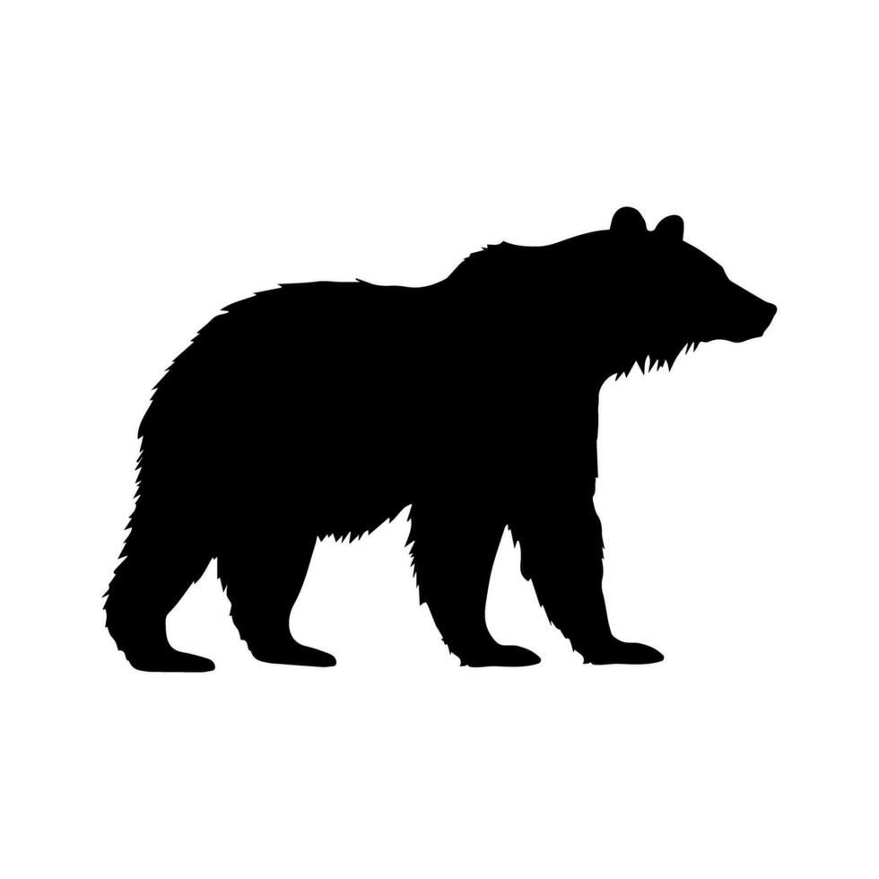 vector silueta de un oso en negro