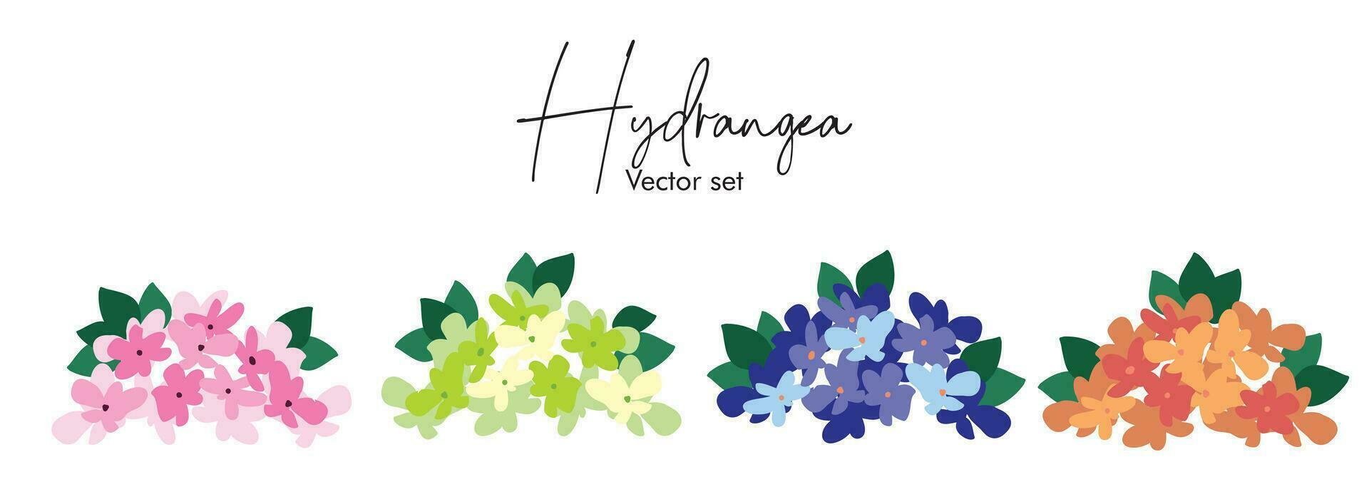 Seamless hydrangea vector set