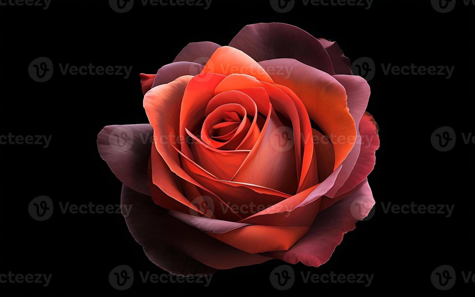 fresh red rose with green leaves on black background - AI generated photo