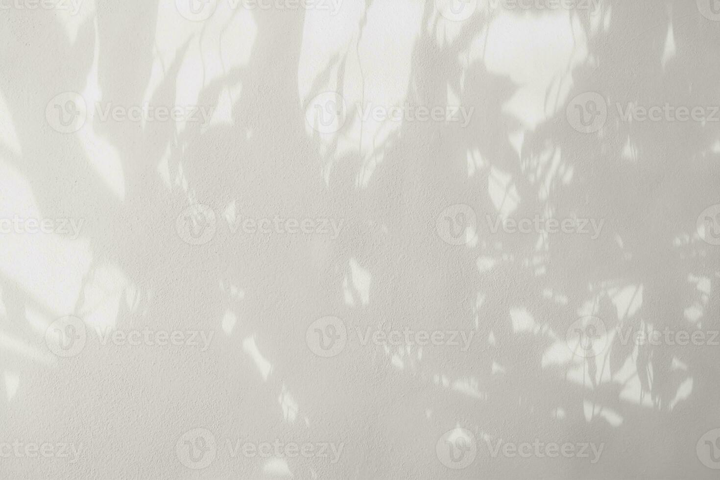 shadow of the leaves on a white wall background. White and gray concrete wall for background design and wallpaper photo