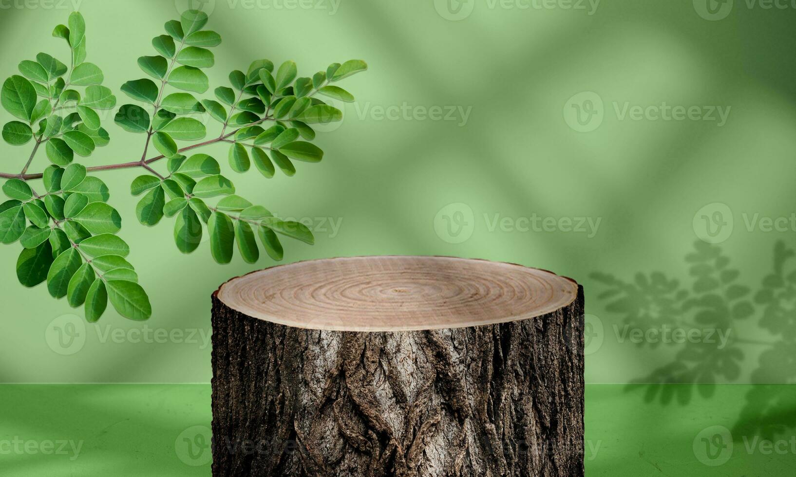 Round big wooden stand for product display with green tropical leaves photo