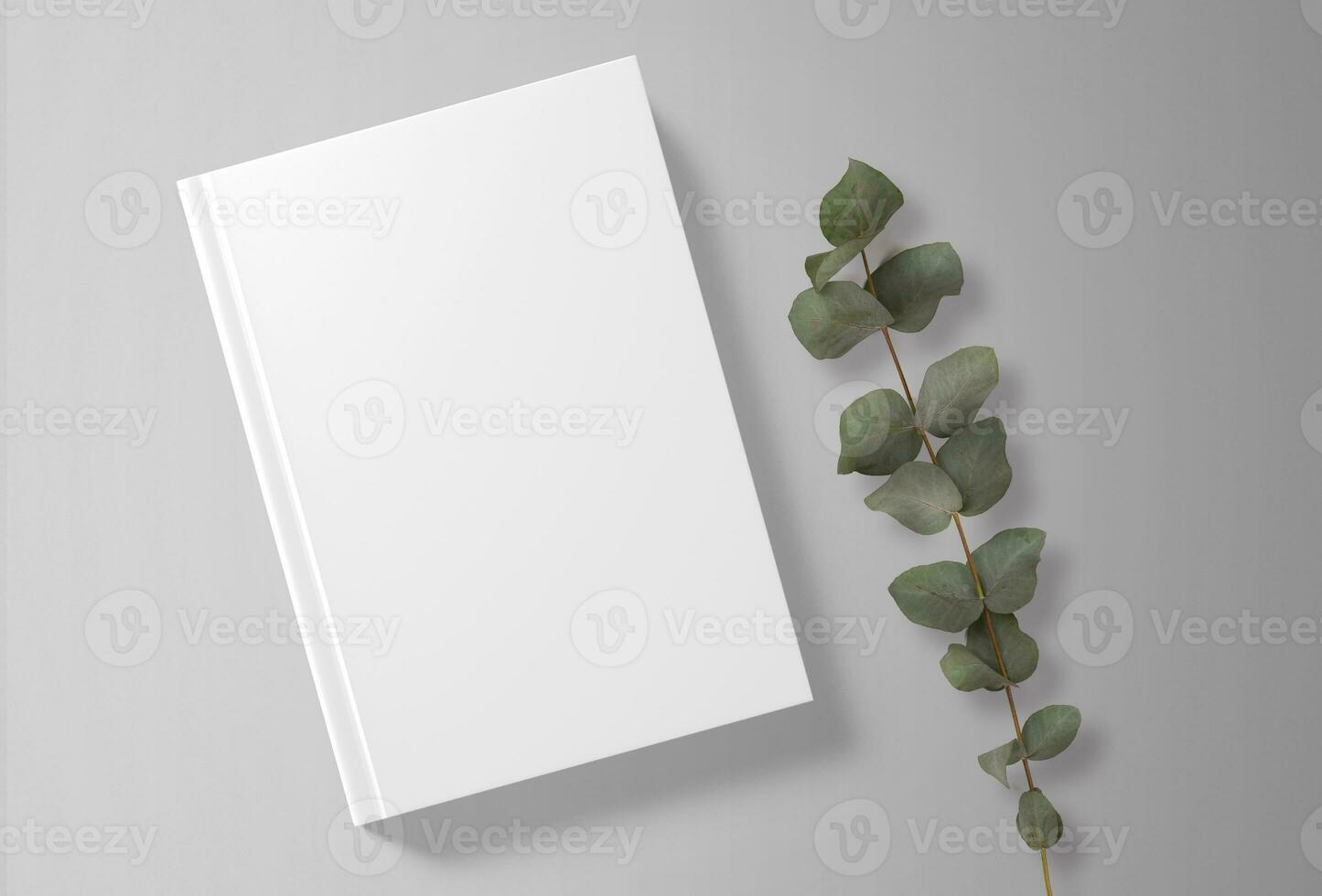 Mockup Blank Cover Of Magazine, Book, Booklet, Brochure. Illustration. Background. Mock Up Template photo