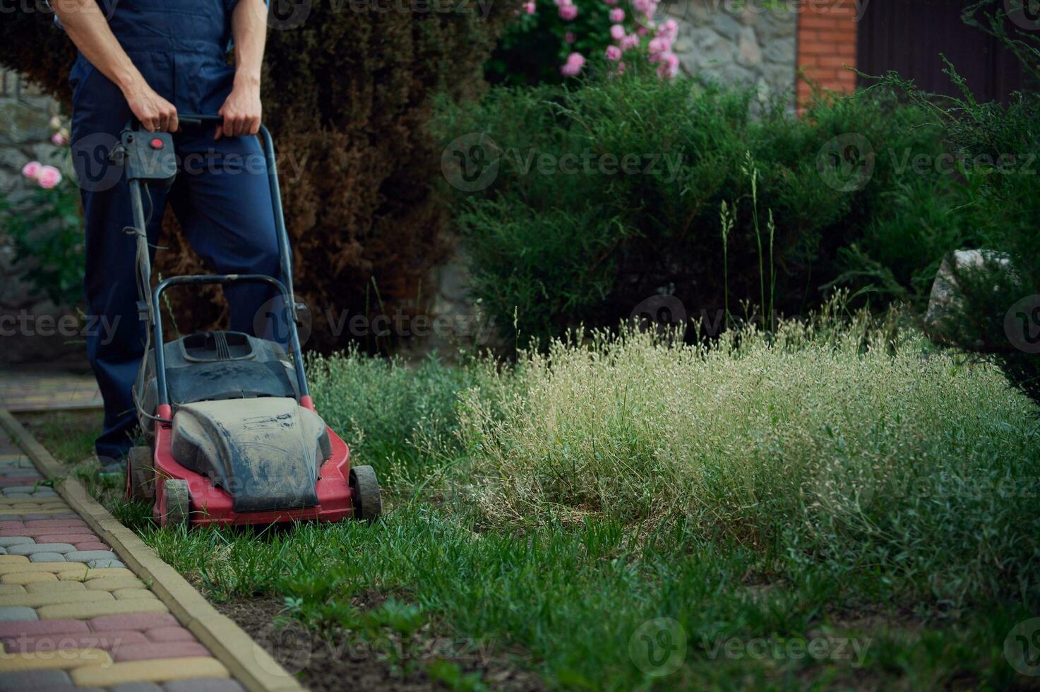 atención en eléctrico césped cortacésped y masculino jardinero siega verde césped, mantener el césped en el patio de un mansión. foto