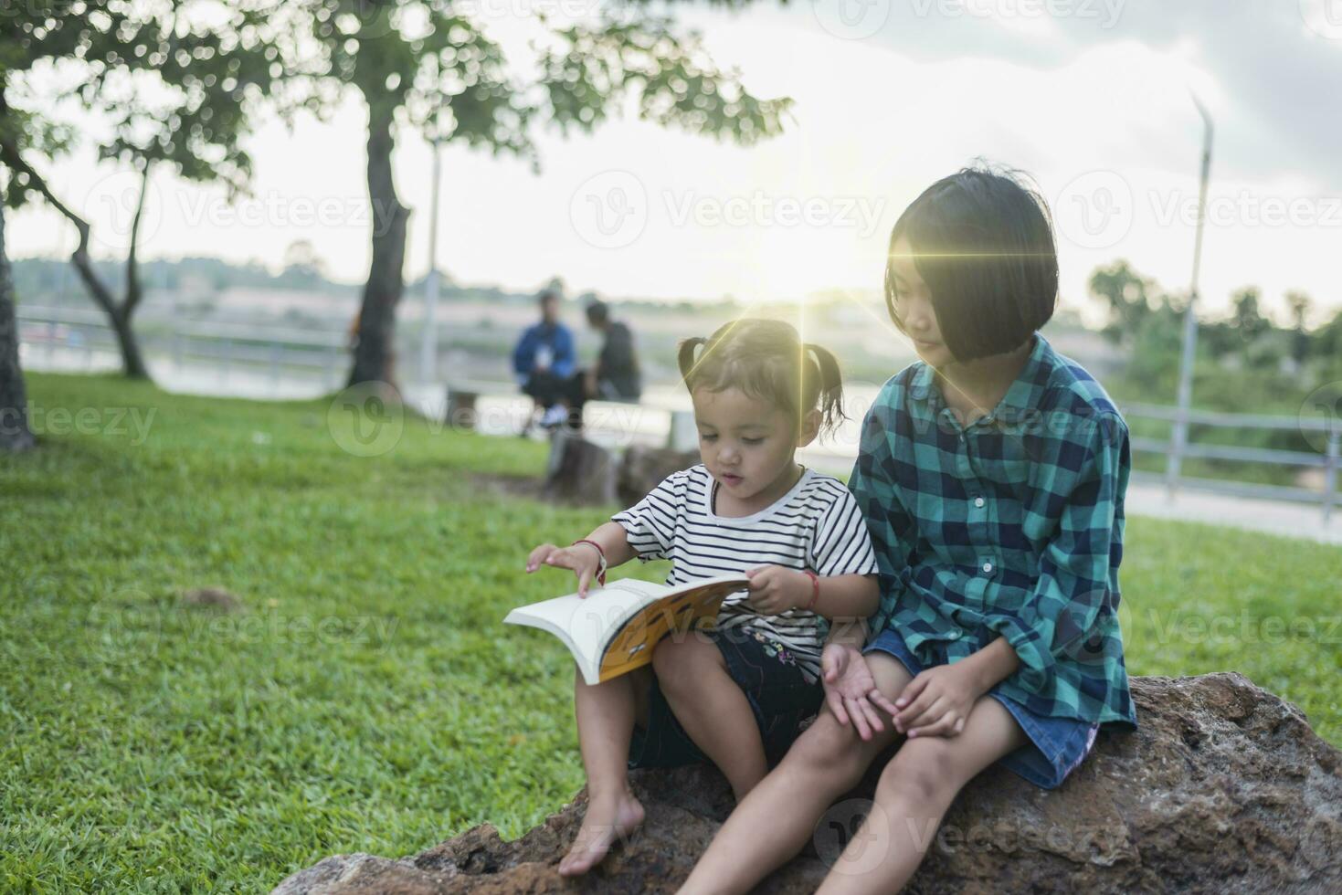 joven asiático niña leyendo un libro sentado en un rock a el césped en el patio interior. foto