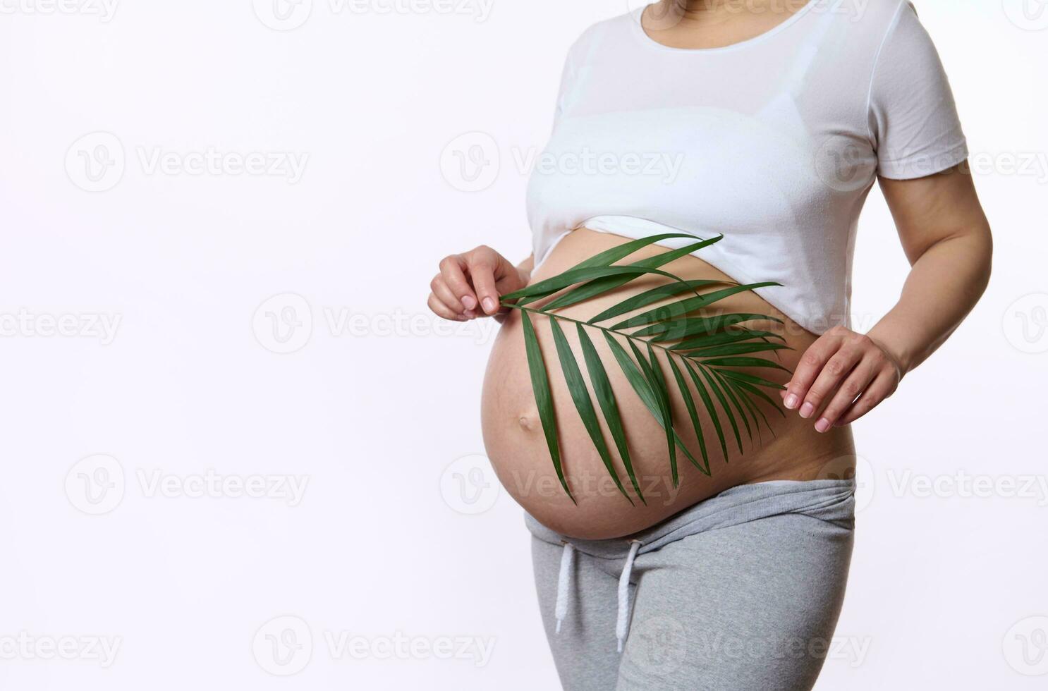 Close-up pregnant woman with naked belly, expecting baby, holding palm leaf on her belly in pregnancy trimester third. photo