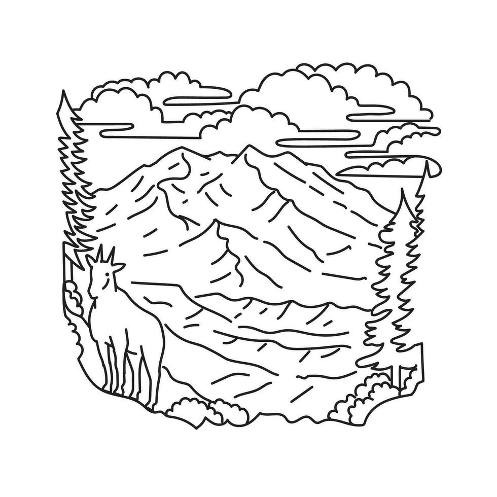 Mountain Goat in Denali National Park and Preserve Alaska USA Mono Line Art vector