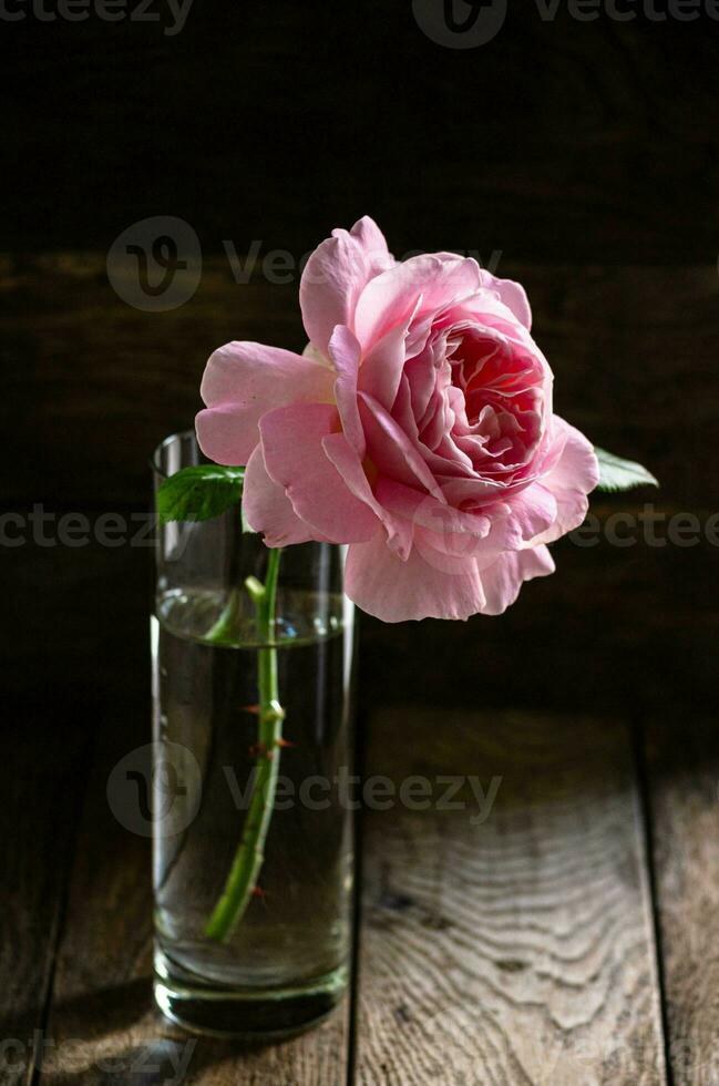 pink rose in a glass vase on a dark wooden background photo