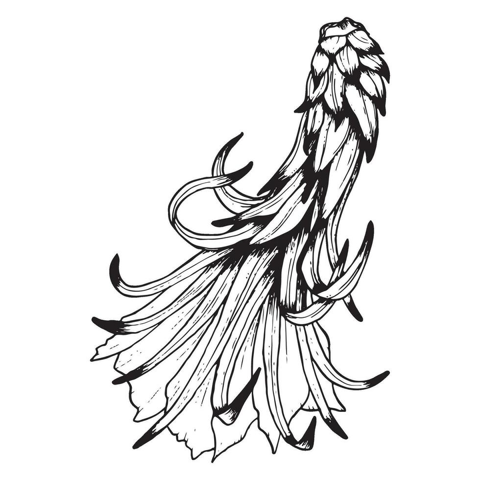 Vector cactus flower with leaves, side view. Black and white outline illustration of Epiphyllum or dragon fruit flower line graphic. Tropical exotic flora