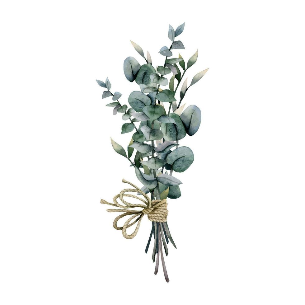 Watercolor green eucalyptus branches bouquets with brown rope for beautiful winter wedding designs, postcards, thank you cards, florists shops vector
