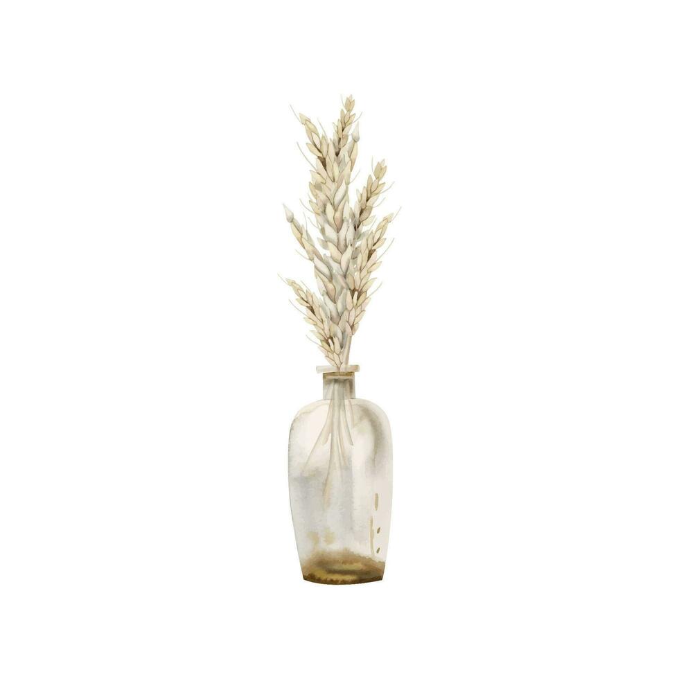 Wheat ears in a glass bottle vase, fall vector illustration in light warm beige colors