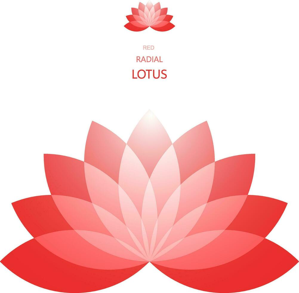 Radial Lotus flower vector