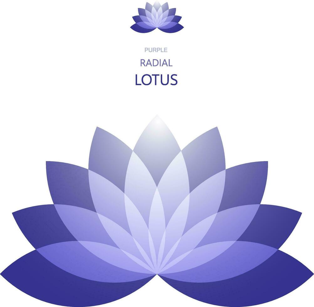 Radial Lotus flower vector