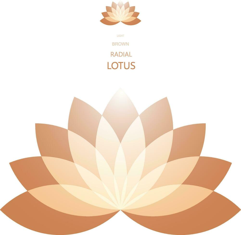 Radial Lotus flower vector