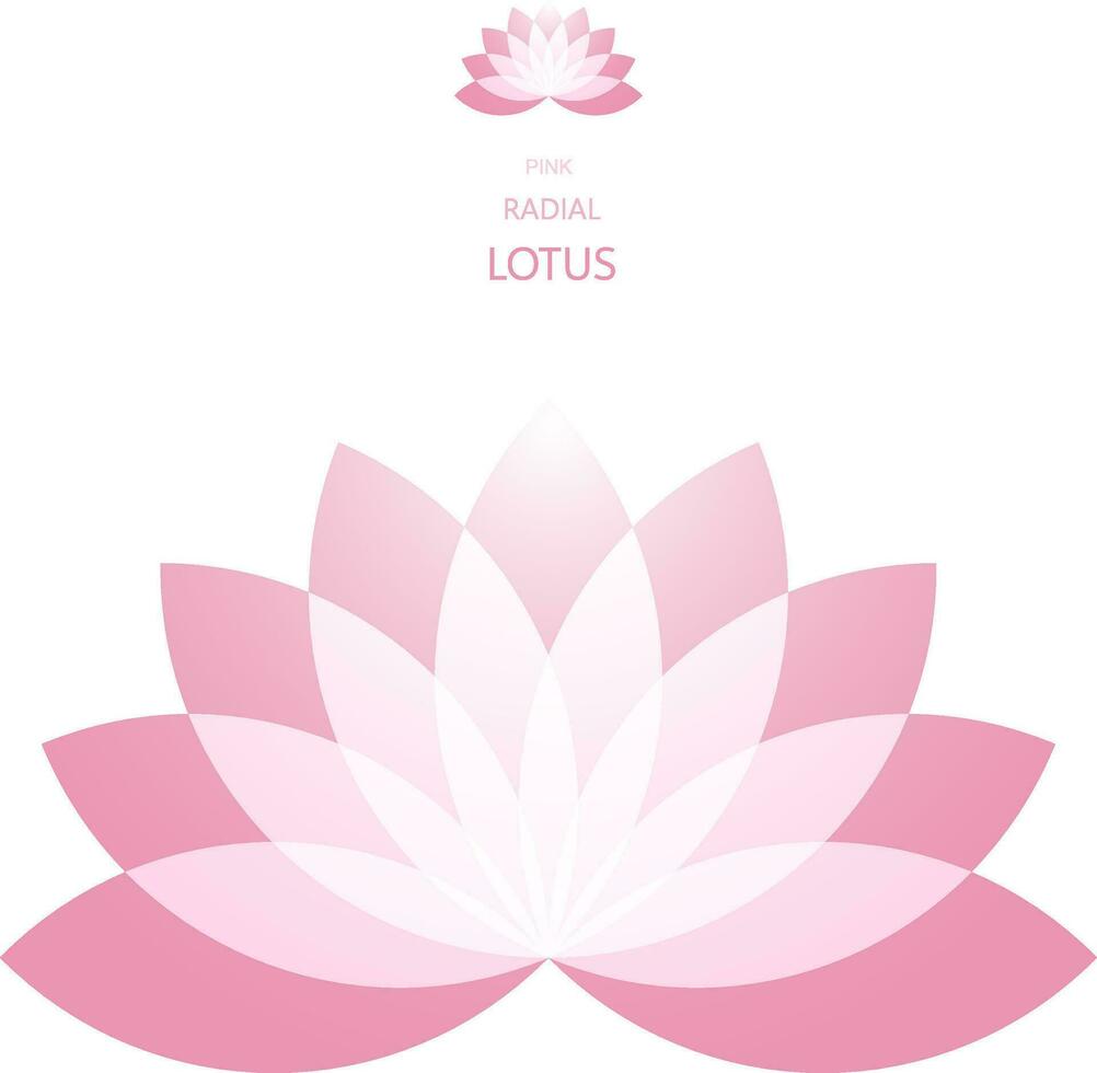 Radial Lotus flower vector