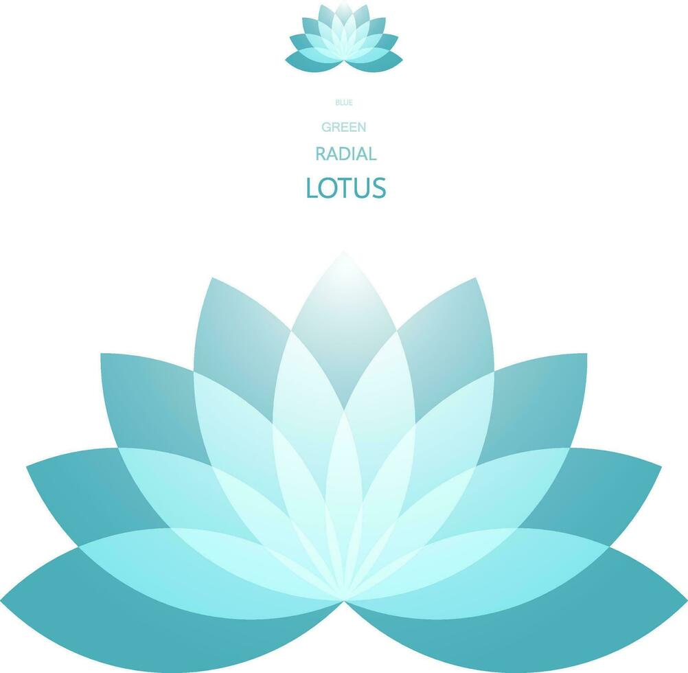 Radial Lotus flower vector