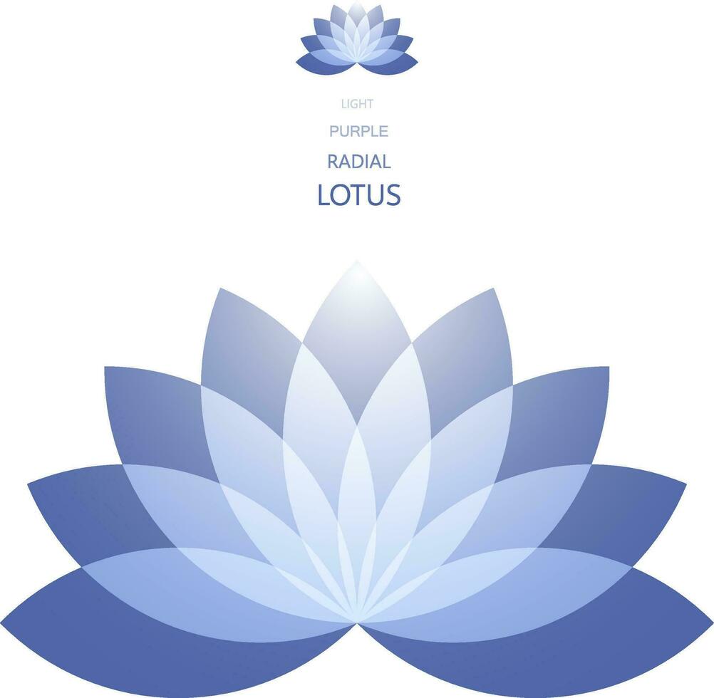 Radial Lotus flower vector
