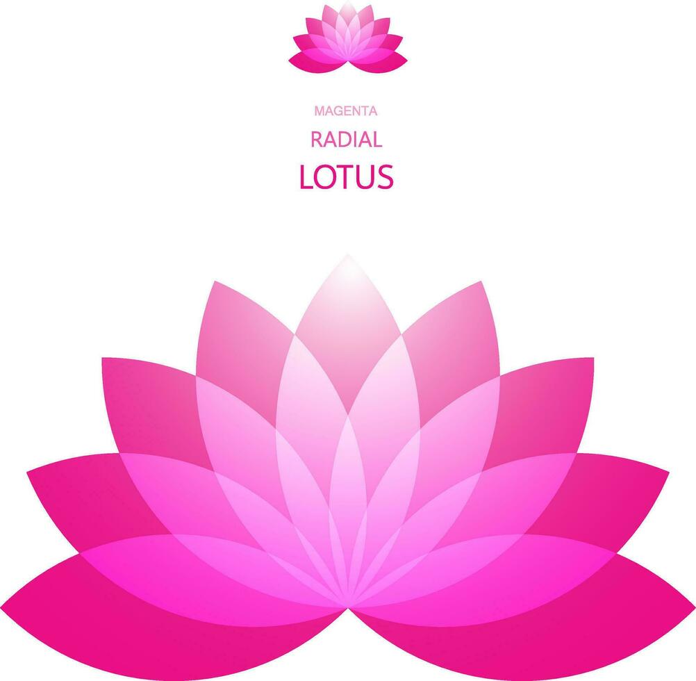 Radial Lotus flower vector