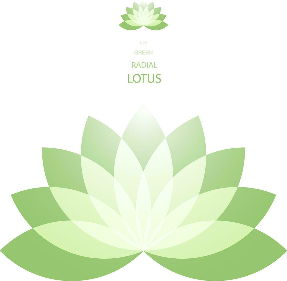 Radial Lotus flower vector