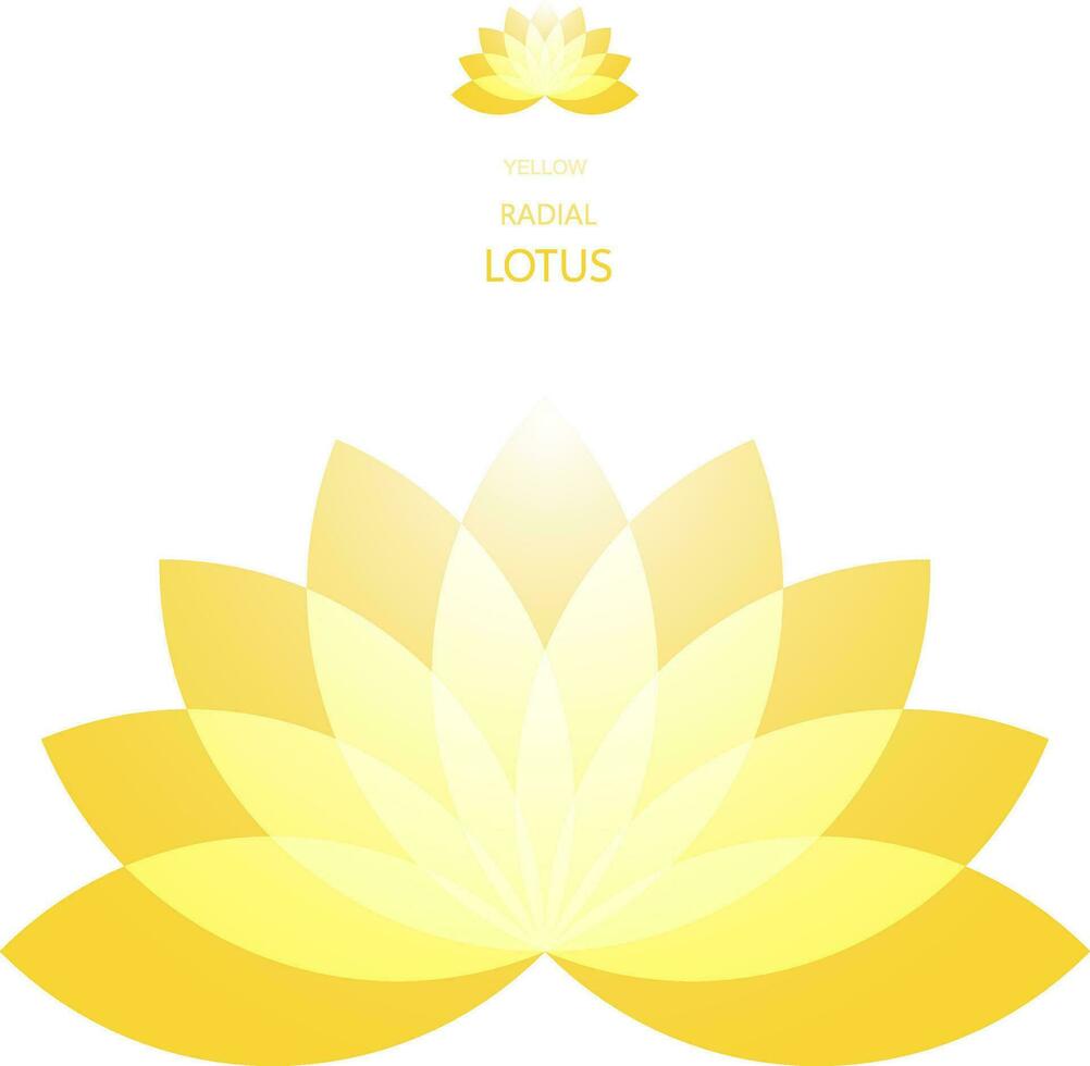 Radial Lotus flower vector