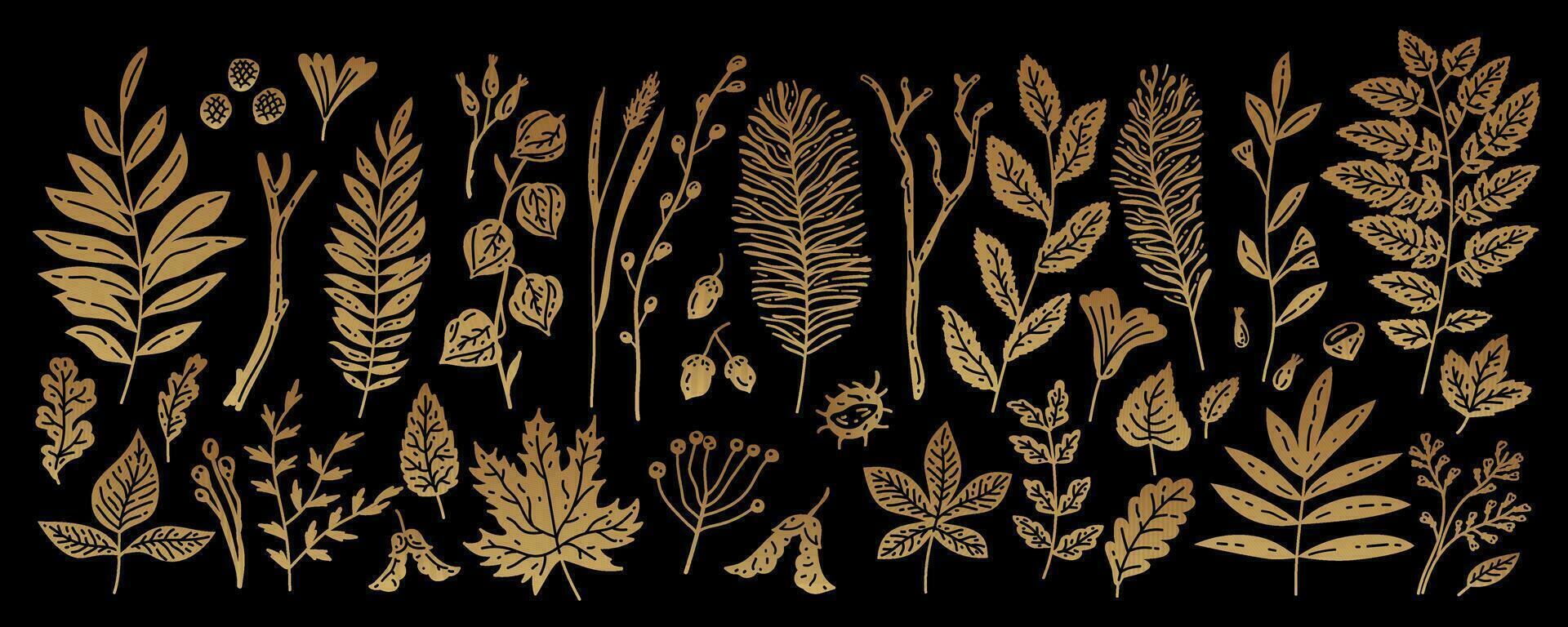 Set of golden autumn leaves beries and herbs. Vector isolated.