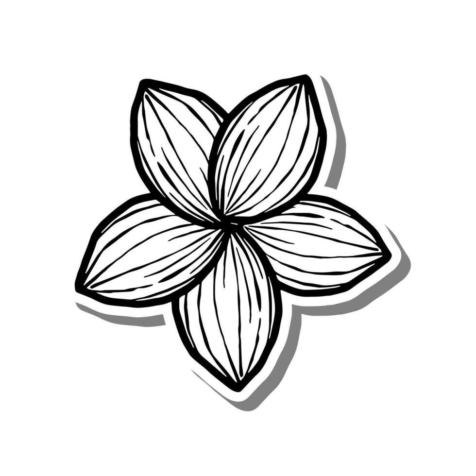 Black line Flower Bloom on white silhouette and gray shadow. Hand drawn cartoon style. Vector illustration for decorate, coloring and any design.