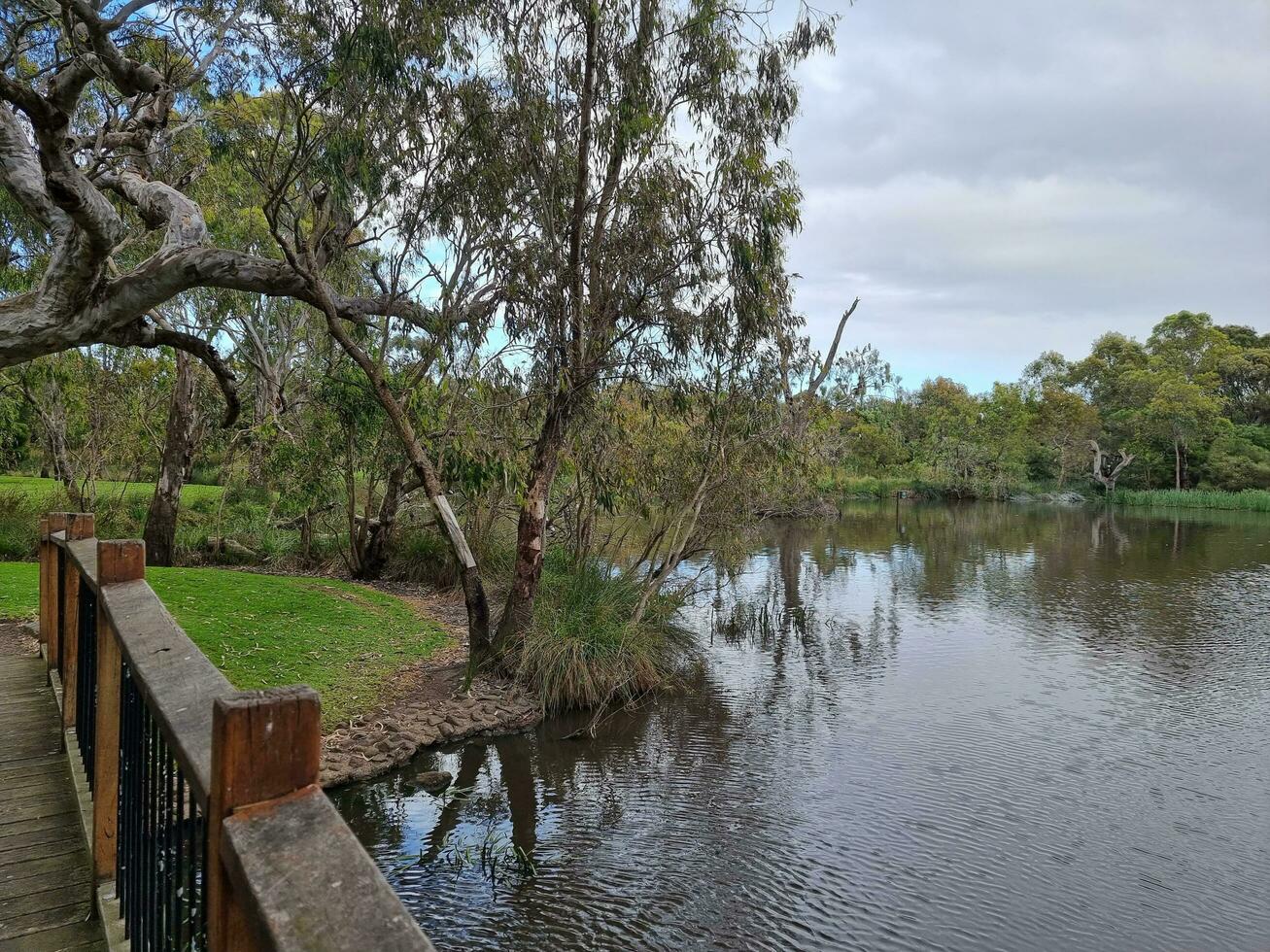 Balyang Sanctuary, Victoria, Australia photo