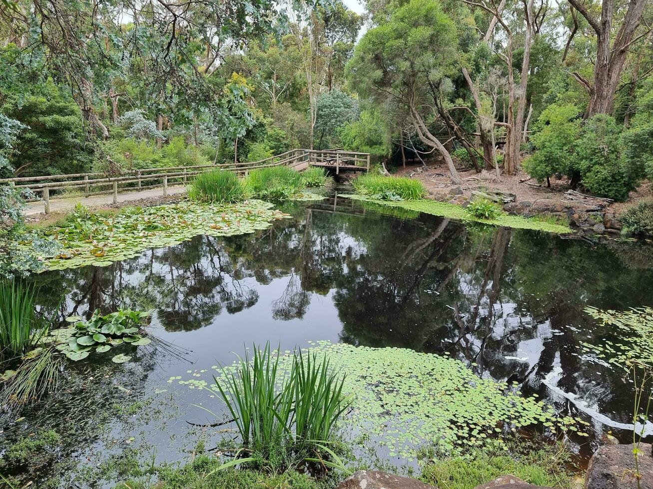 Ballarat Gardens, Victoria, Australia photo