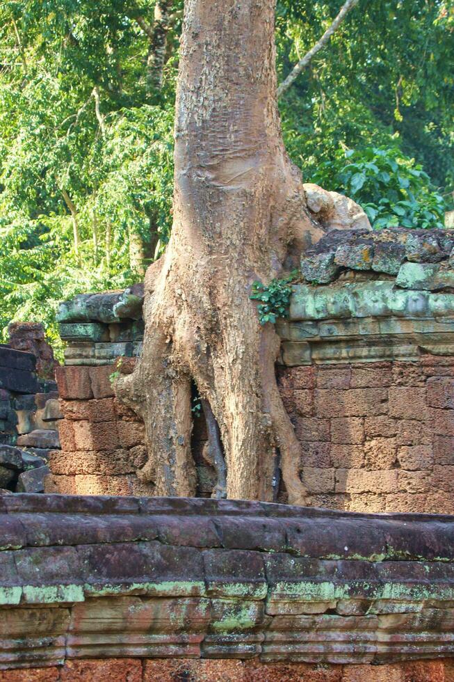 angkor wat templos, Camboya foto