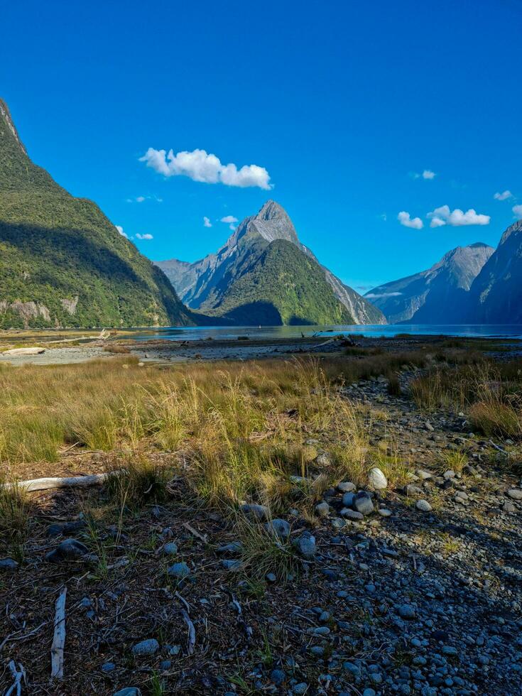 Milford sonido, tierra del sur, nuevo Zelanda foto