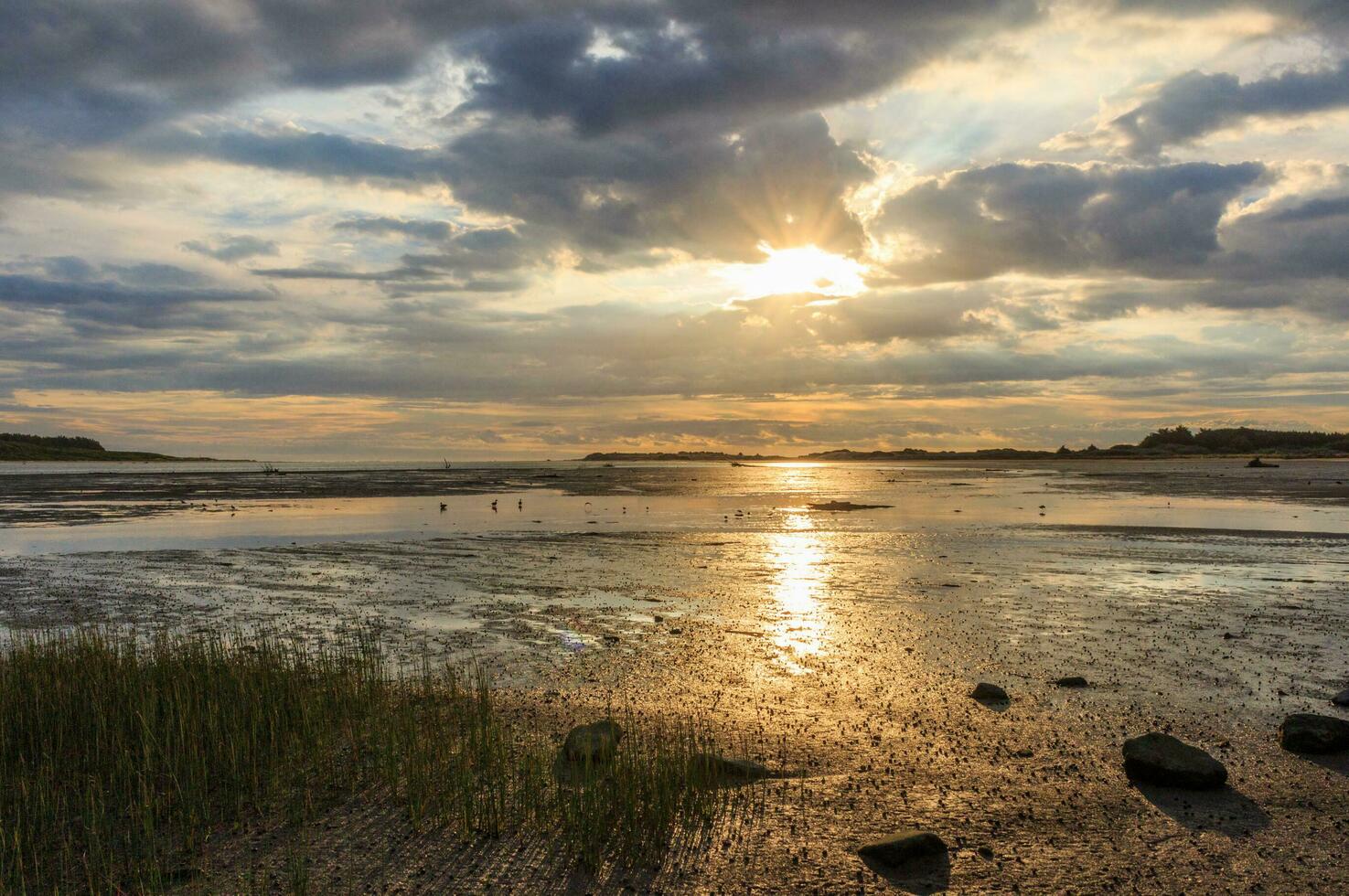 Foxton Beach, New Zealand photo