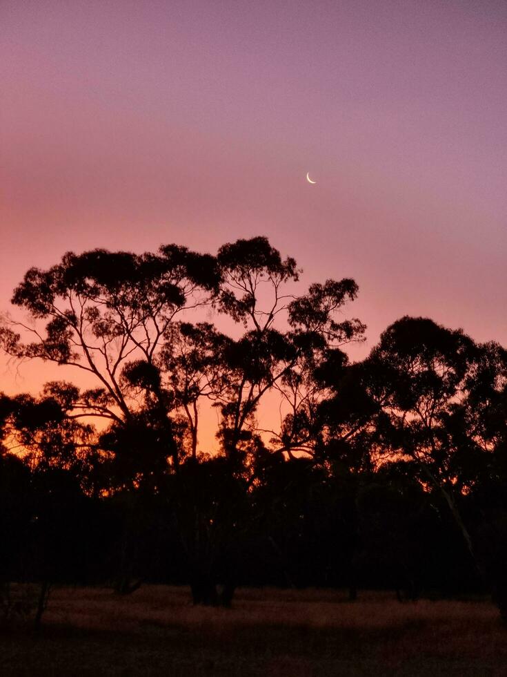 kiata terreno de camping, pequeño desierto, Australia foto