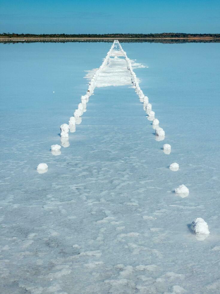 Lake Hart, South Australia photo